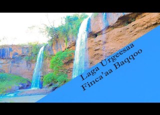 Finca Aa Baqqoo Goodina Jimmaa Aanaa Nonnoo Beenjaa