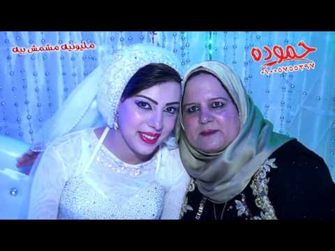 فرحة مشمش بيه شربين كاريكا مزيكا واوشا موال وسﻻم شعب مصر