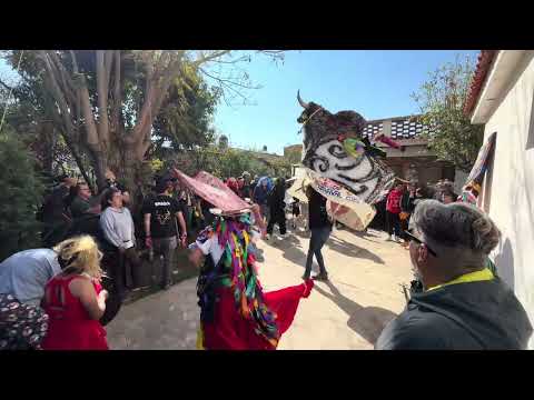 Torito De Carnaval Colonia Ibarra 2026