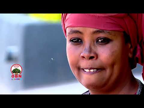 Diraamaa Leetoo Ayyaana Qillee