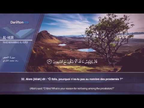 سورة الحجر بصوت القارئ رعد الكردي