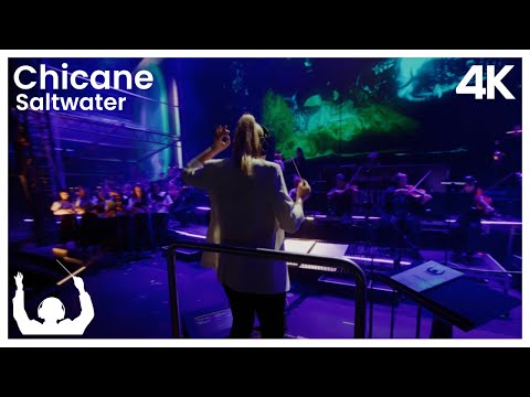 SYNTHONY Chicane Saltwater Live At The Auckland Domain 2024 ProShot 4K