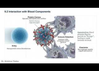 NTDS Unit No I Part II
