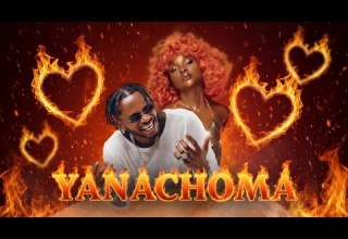 Diamond Platinumz Yanachoma X Zuchu Official New Music Video 2026
