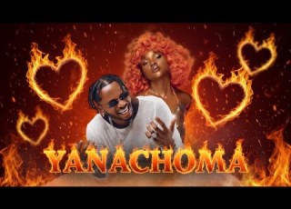 Diamond Platinumz Yanachoma X Zuchu Official New Music Video 2026