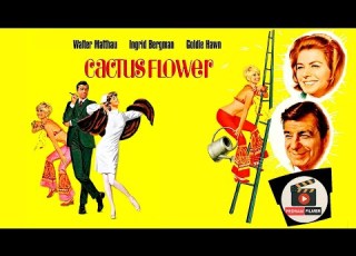 معرفی فیلم گل کاکتوس Cactus Flower 1969