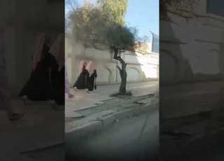 جولة جولة رائعة جوله تيسمسيلت خرجات خرجات