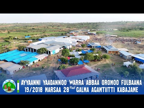 Ayyaanni Yaadannoo Warra Abbaa Oromoo Ful 19 2018 Mar 28ffaaf Galma Agamtiitti Kabajame