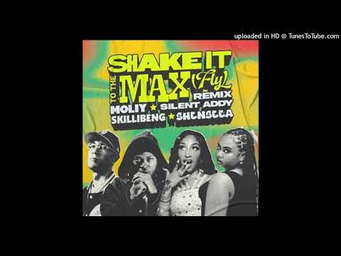 MOLIY Silent Addy Skillibeng And Shenseea Shake It To The Max FLY Official Radio Edit