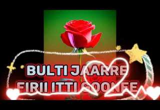 Dhara Dhugaa Seetee Na Gante New Ethiopian Oromo Music 2023 Official Video