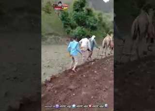الامعين يالله يارازق الطير الريف