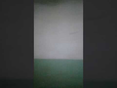 جنيه ذات المحاسن 1