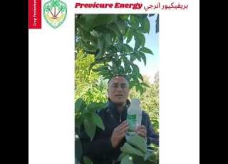 بريفيكيور انرجي Previcure Energy 2