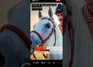  خيالات القصص فؤاد عبد الواحد