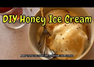  DIY Honey Vanilla Ice Cream