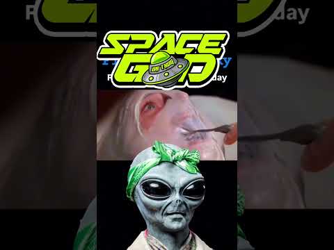 Who Do I Talk To On Errf About This Ripzarlax Spacegoddathug Spaygawd Invadertrimm