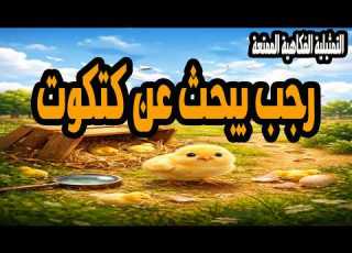 التمثيلية الفكاهية الممتعة جدا رجب يبحث عن كتكوت