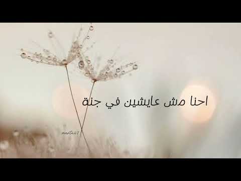 قبلت التحدي كاملة بدون موسيقى