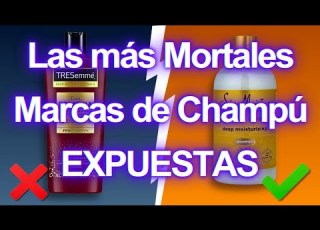  7 Champús Que DEBES EVITAR A TODA COSTA Y Algunos Que Son SEGUROS