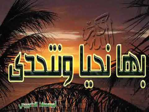 زامل الله اكبر بها نحيا ونتحدى على الحوثيين الرافضة