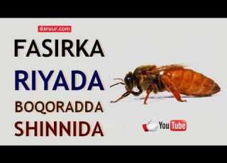 Riyada Boqoradda Shinida Qofkii Ku Riyoodo Asoo Haysto Shini Badan Ama Qabtay
