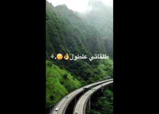 حلات واتس شكلكو شراشير مهرجانات