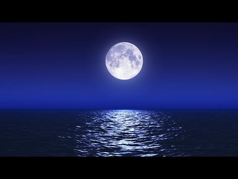 Sleep Music With Ocean And Jungle Sounds Relaxing Blue Screen Scene Ocean And Full Moon Sleep Music With Ocean And Jungle Sounds Relaxing Blue Screen Scene Ocean And Full Moon