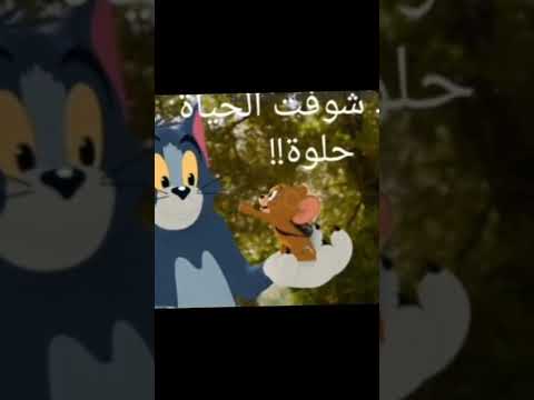 اغنيه معاك شوفت الحياه حلوه