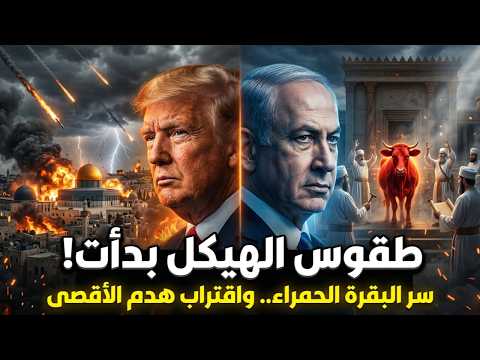 هيكل نتنياهو 2026 سر البقرة الحمراء واقتراب هدم الأقصى أخطر نبوءة تتحقق الآن