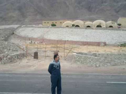 محمد حامد عفيفى دوامـــة