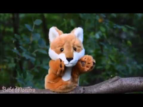 Bébé Maestro Le Conte De L Ortie