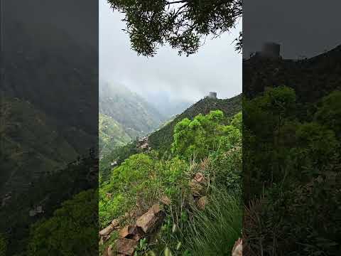 ون شفت في نفسك من الكبر انها ويمه الخضراء اكسبلور تصويري تيك توك لايك اب متابعه ترند فولو