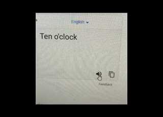  FUNNY GOOGLE TRANSLATE ENGLISH TO CHINESE LION S T