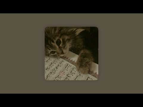 Halal Beats Where You Are 1 Hour Slowed Reverb Rain Vocals Only Halal Beats Where You Are 1 Hour Slowed Reverb Rain Vocals Only