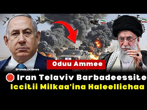 Oduu Ammee Iran Telaviv Haleelte Iccitii Milkaa Ina Saaxilame