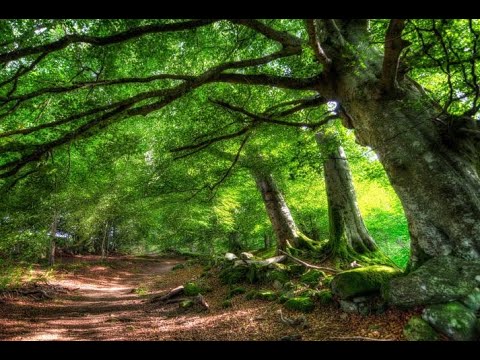 Chanson Pour Bien Respirer