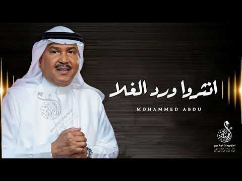 زفة انثروا ورد الغلا محمد عبده 2024 زفات عروس مجانيه 2024