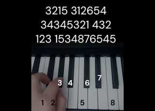 Detective Conan Piano Tutorial Shorts Piano Detectiveconan