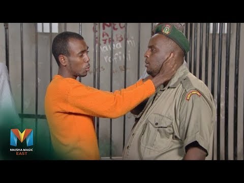 Abdi S Got Talent Jela 5 Star Maisha Magic East