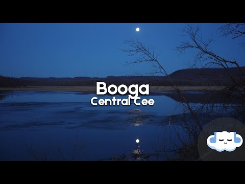 Central Cee Booga Clean Lyrics