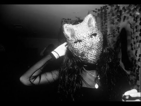 Golden Cats Jaded Lyrics