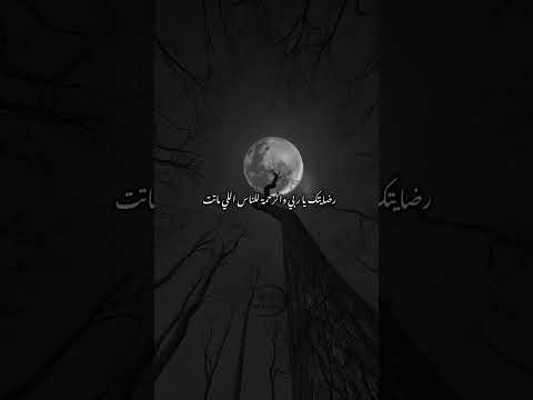 ما دامني عندي برشا كلام نحكيه مانيش ساكت كلمات