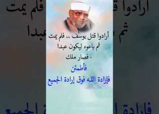 ارادو قتل يوسف فلم يمت ثم باعوه ليكون عبدا فصار ملك كتابات راقية كلام من ذهب الشعراوي حالات