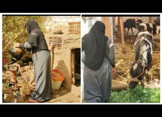   شيل وحط بس في الاخر مرضيا بالحب الفجريه وهقول الحقيقه نهاردا