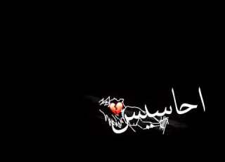 حلات واتس افركلي كيس دمااار