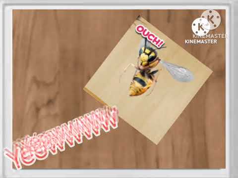 Ant Smasher Ds Trailer Coming Soon At 2024