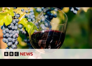  How Is Scandinavia Growing Its Wine Industry BBC News