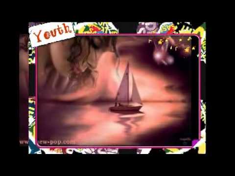 هانى شاكر وشرين انا قلبى ليك