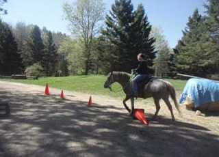  Riding Session With Louie Fundamentals Clinton Anderson