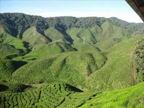 كونى النجمه رائعة مصطفى سيد احمد